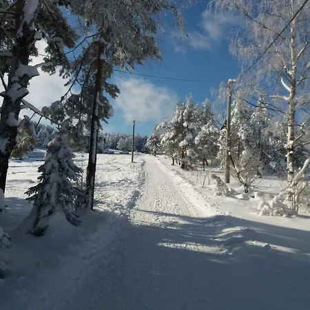 Narcis Polje * Divčibare
