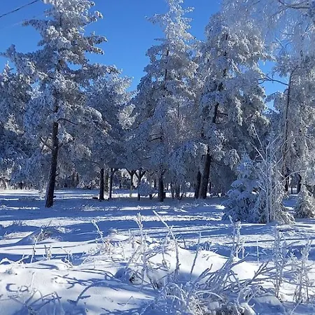 شقة Narcis Polje *