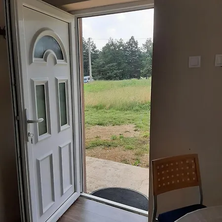 Narcis Polje Divčibare