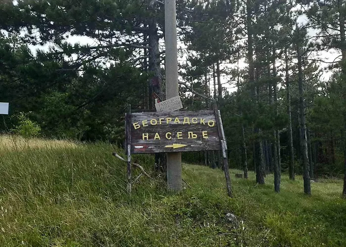 Narcis Polje شقة *