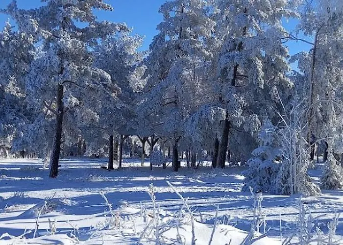 شقة Narcis Polje *