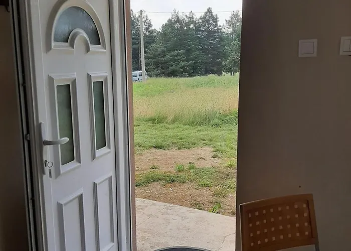 Narcis Polje Divčibare